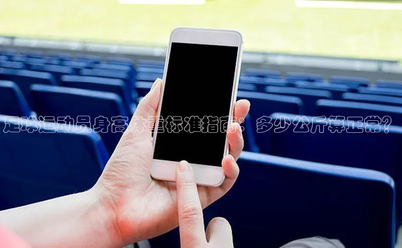 熊猫体育app小度商城