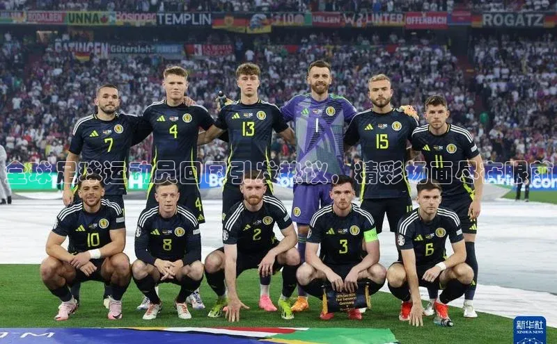 熊猫体育在线直播app百度人工翻译