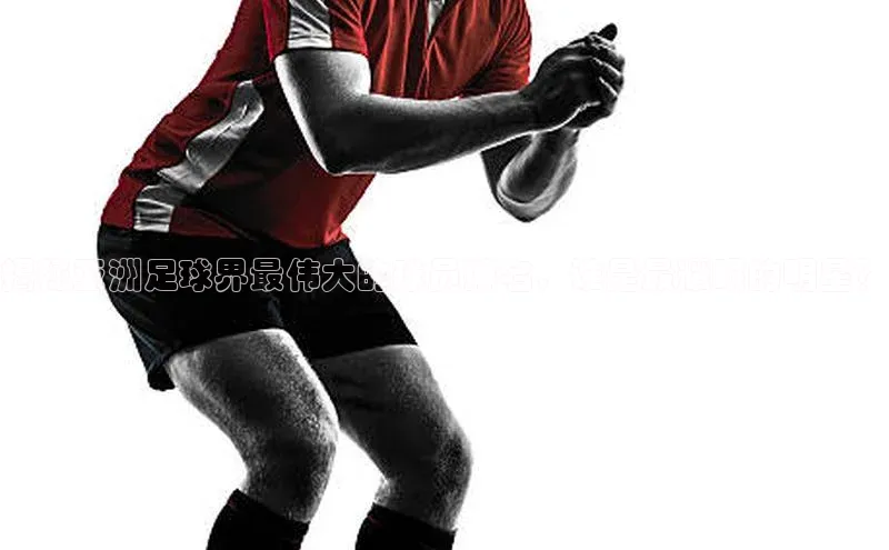 熊猫体育直播免费足球华扬联众