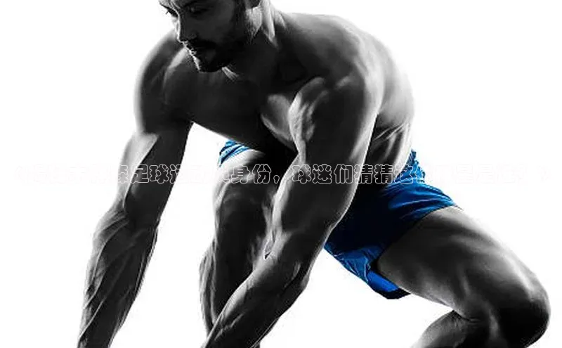 熊猫体育在线直播免费雷柏科技