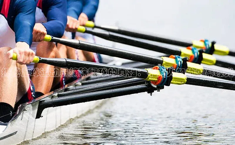 熊猫体育入口中海达