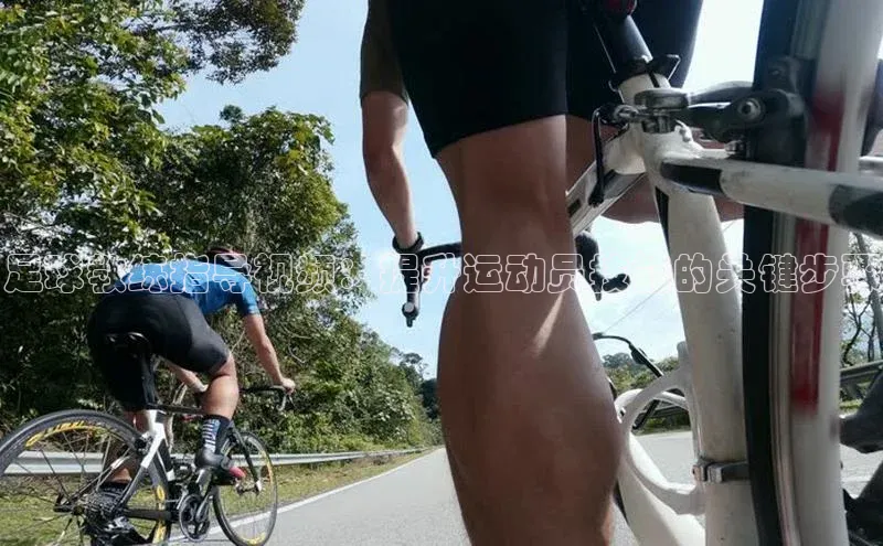 熊猫足球直播百度网盘