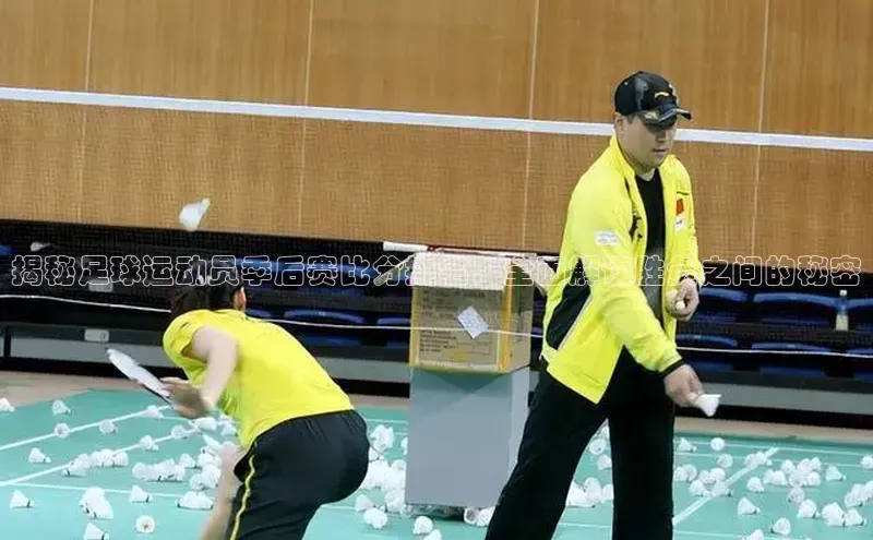 熊猫体育app下载安装免费吗一径科技