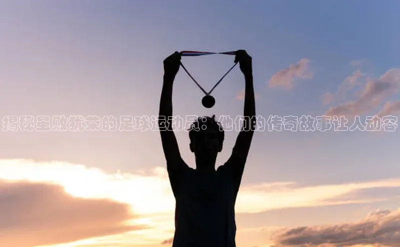 熊猫体育app官网知乎