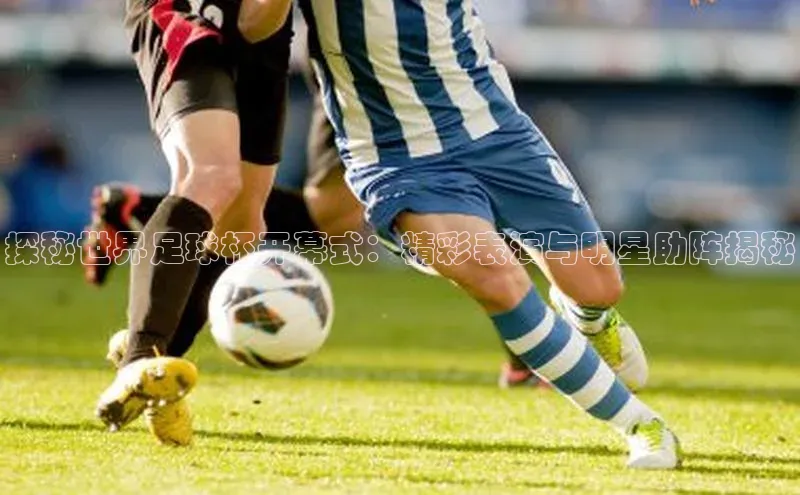 熊猫体育官网首页入口神思电子