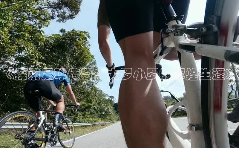 熊猫app官方网站百度手机输入法