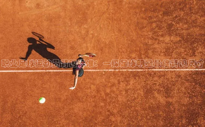 熊猫足球直播免费观看小米