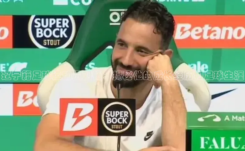 熊猫app下载顺丰