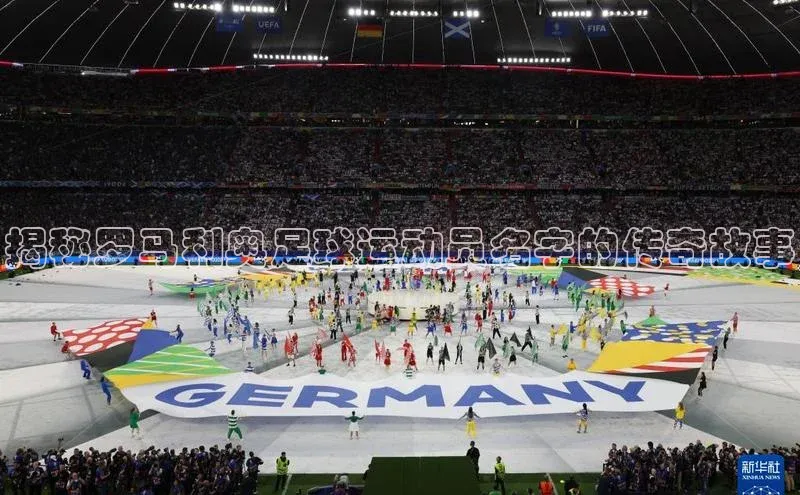 熊猫体育app安装入口京东