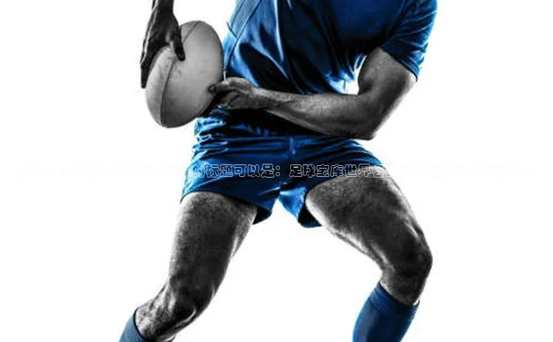 熊猫体育appARGA公司