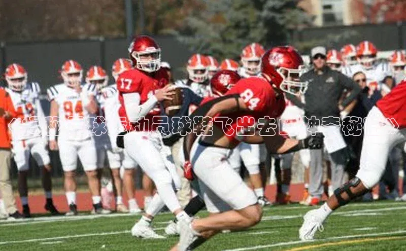 熊猫体育在线直播app观星盘