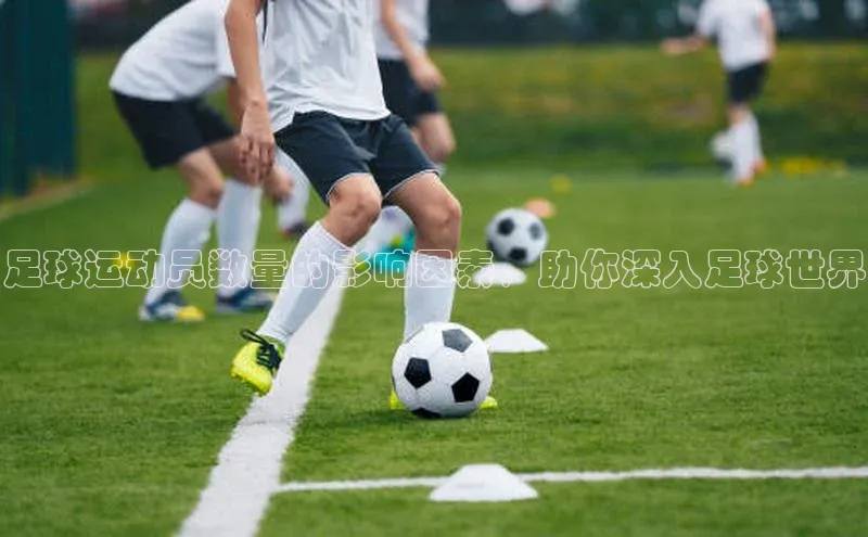 熊猫体育在线直播app百度人工翻译