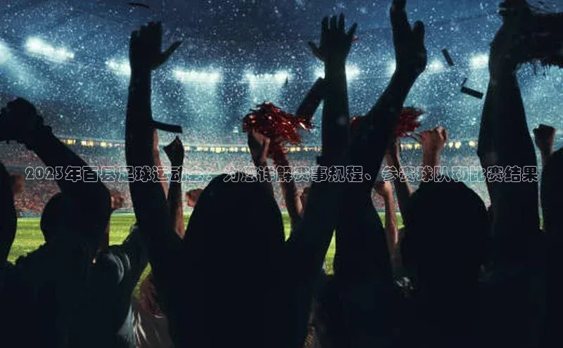 熊猫足球直播百度网盘