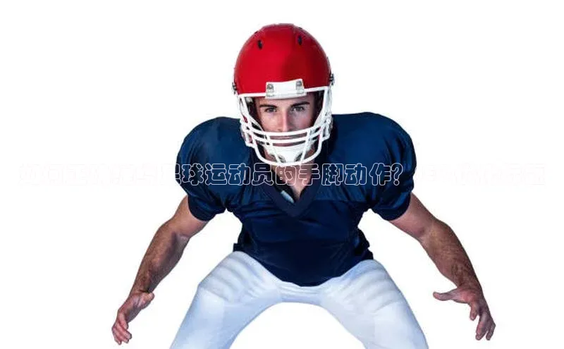 熊猫体育app官网百度社团赞助平台