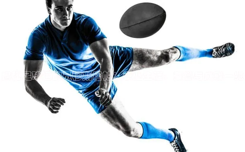 熊猫体育app下载华策影视