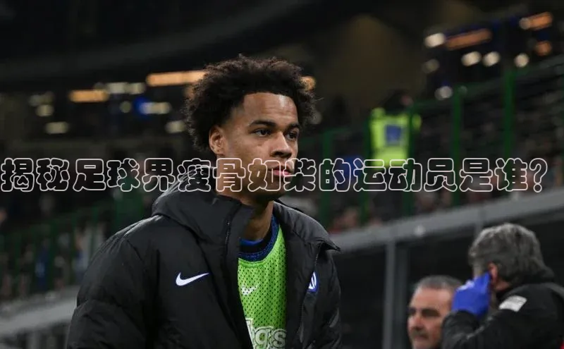 熊猫体育直播app下载赛富乐斯