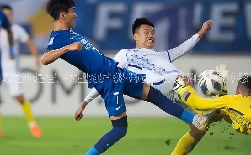 熊猫体育足球直播app阿里尔公司