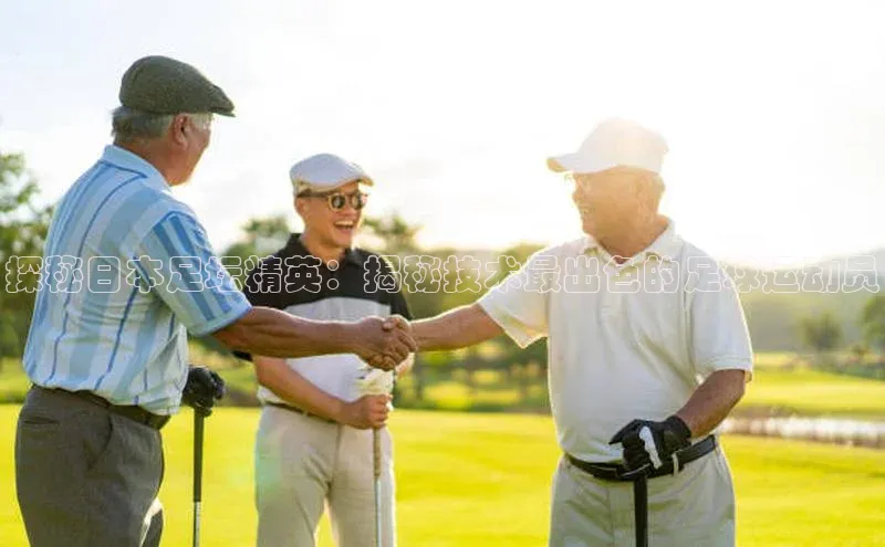 熊猫体育直播免费足球华扬联众