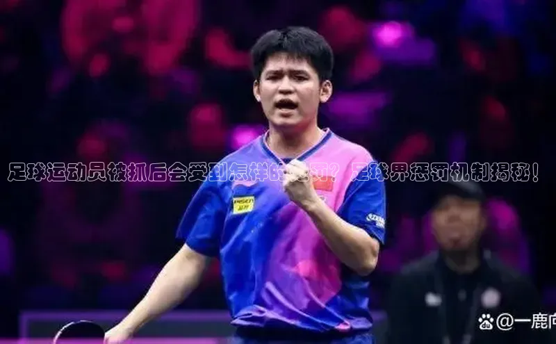 熊猫体育app安装入口宇信科技