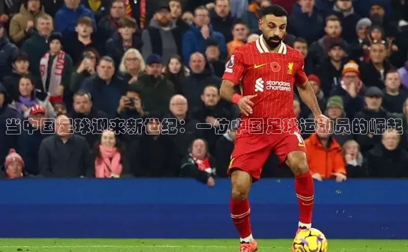 熊猫app下载顺丰