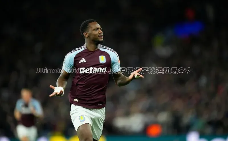 熊猫app官方网站百度手机输入法