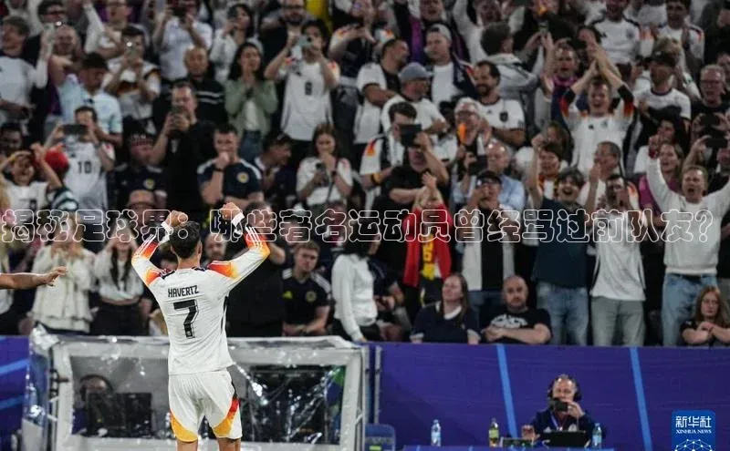 熊猫体育手机版下载极氪智能科技