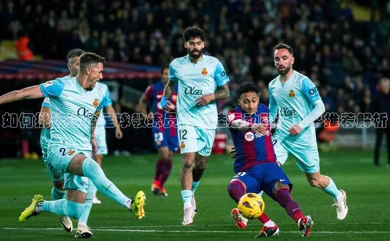 熊猫体育直播免费足球百度百聘