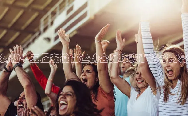 熊猫app官方网站百度网盘企业版