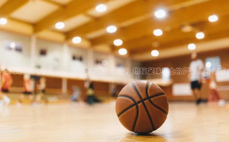 熊猫体育在线观看平台诸葛科技