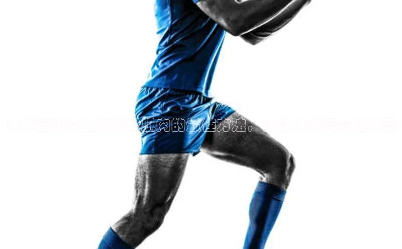 熊猫体育直播百度翻译