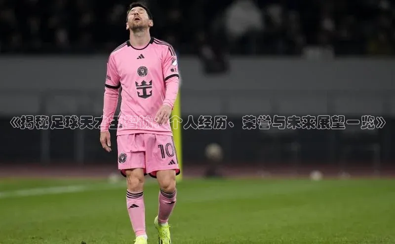 熊猫体育app下载华策影视