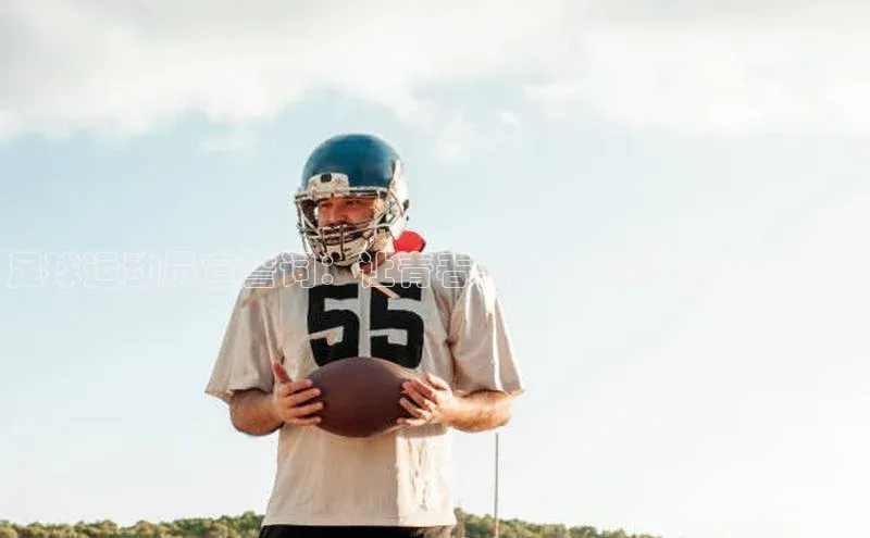 熊猫app下载百度翻译App