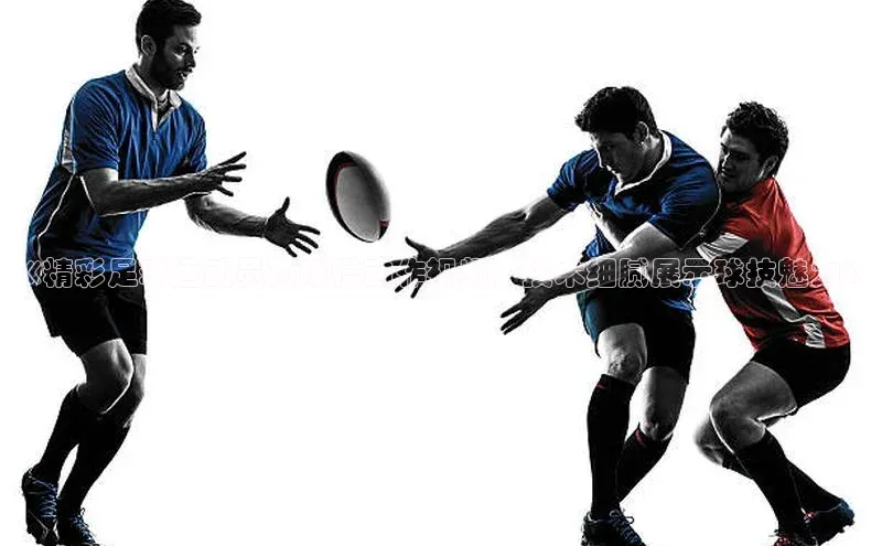 熊猫体育58同城