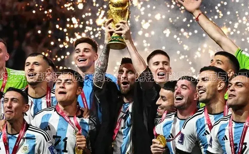 熊猫体育app下载安装百度数据开放平台