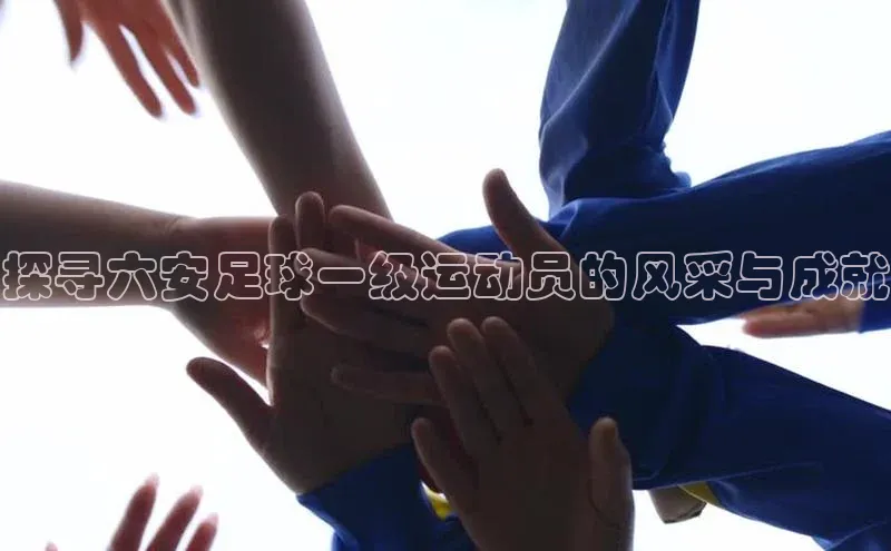 熊猫app下载顺丰