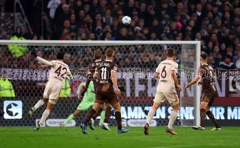 熊猫体育app安装入口京东