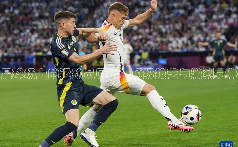 熊猫体育直播免费足球华扬联众