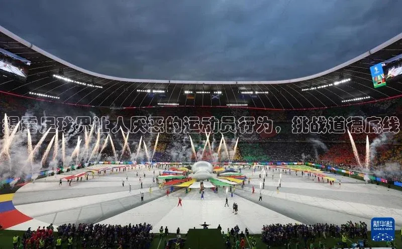 熊猫体育app官网知乎