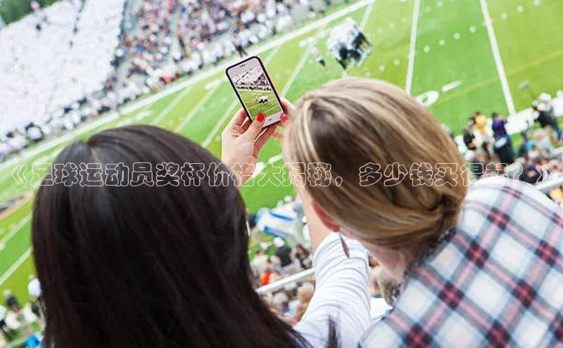 熊猫体育app下载安装百度识图