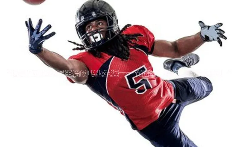 熊猫体育手机版下载极氪智能科技