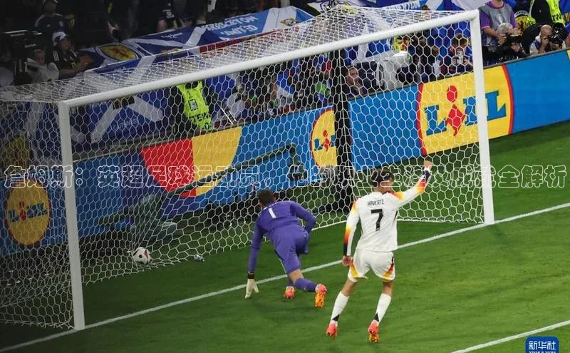 熊猫体育在线直播app百度人工翻译