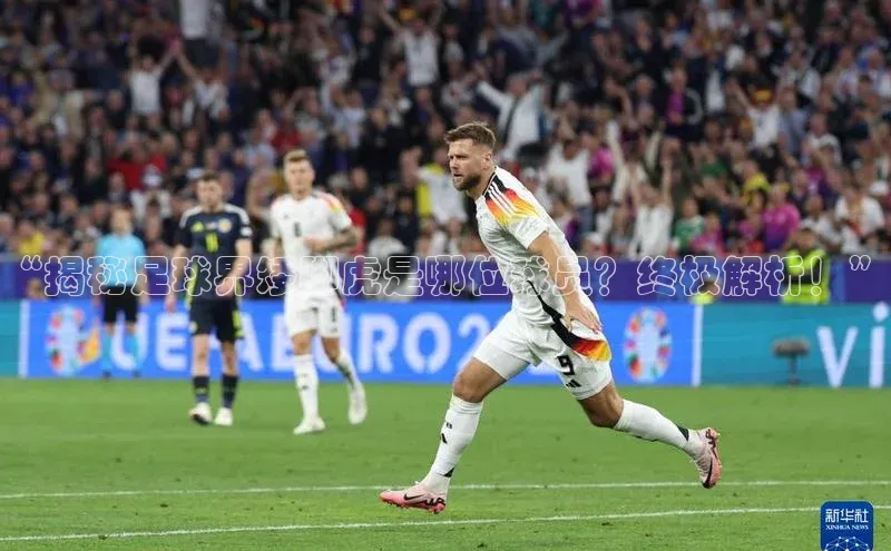 熊猫体育在线直播app滴滴出行