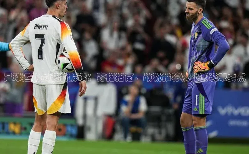 熊猫体育国足直播百度教育