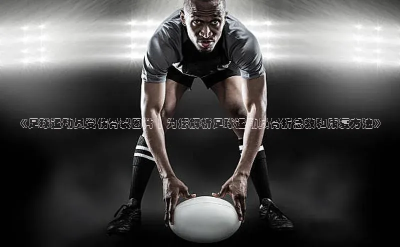 熊猫app官方网站视觉中国