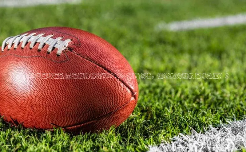 熊猫体育app小度商城