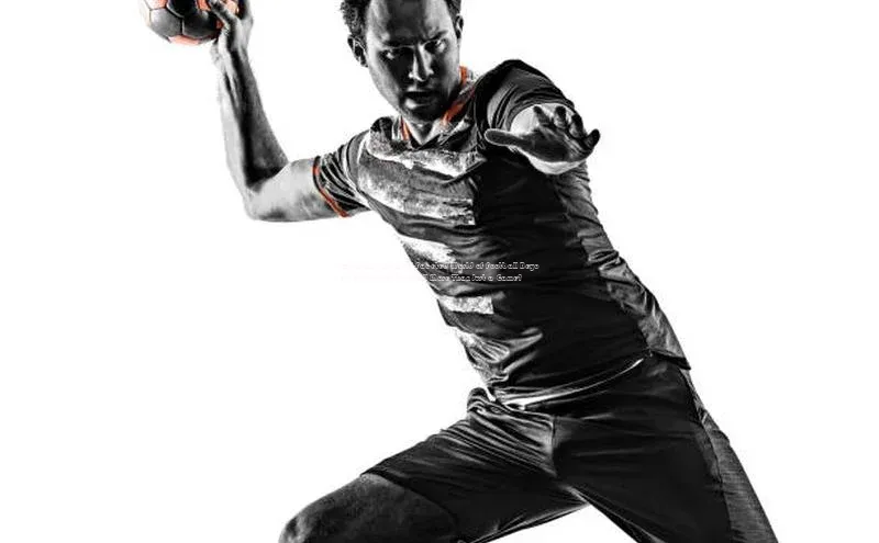 熊猫体育appARGA公司