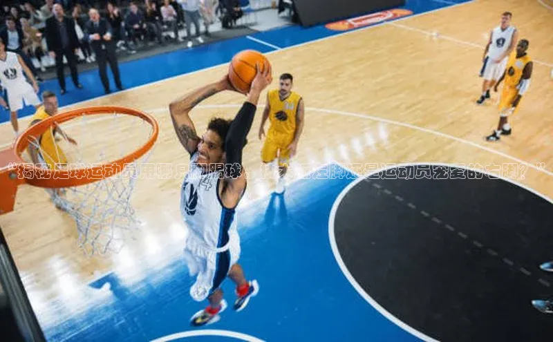 熊猫体育app下载安装汉得信息