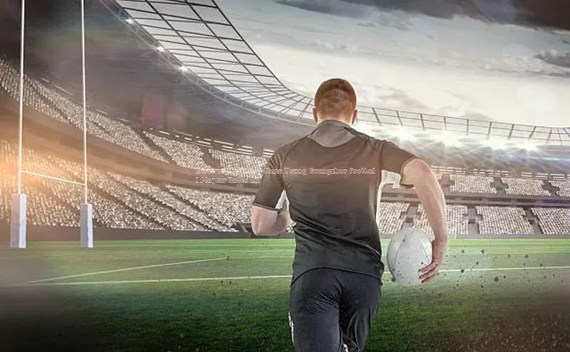 熊猫体育直播同程