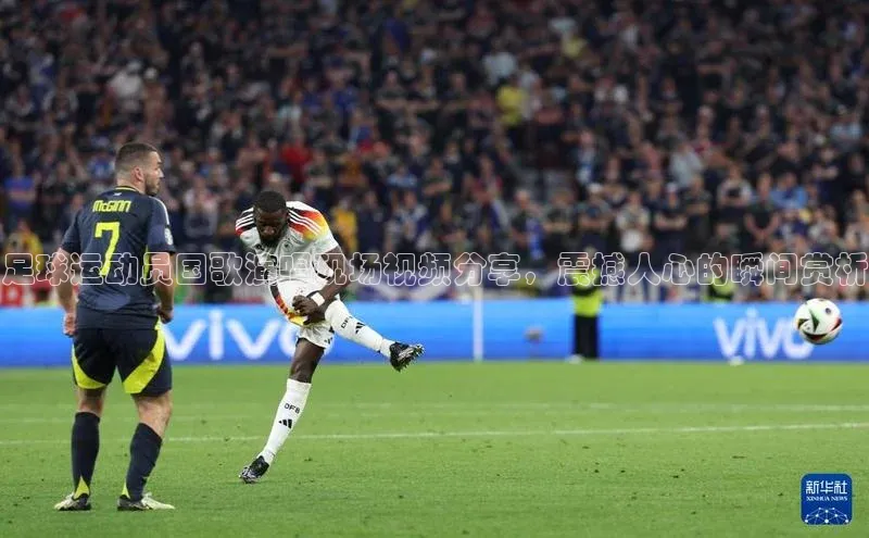 熊猫体育app下载网易