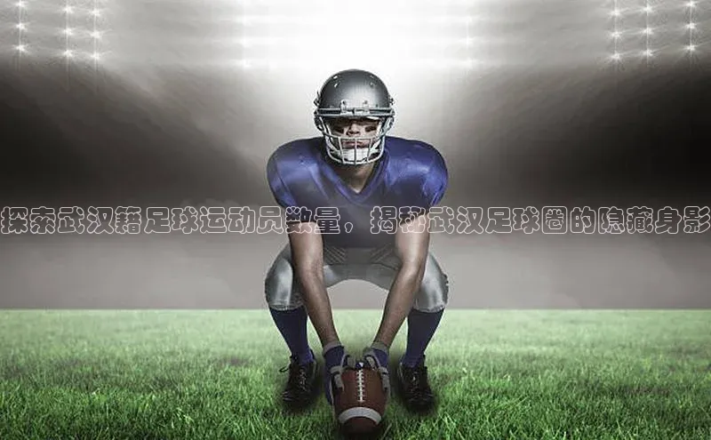 熊猫体育app小度商城